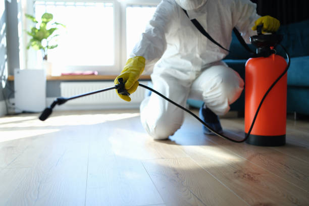 Reliable Hoarding Cleanup contractor in O'Fallon, IL by Trauma Clean Pros